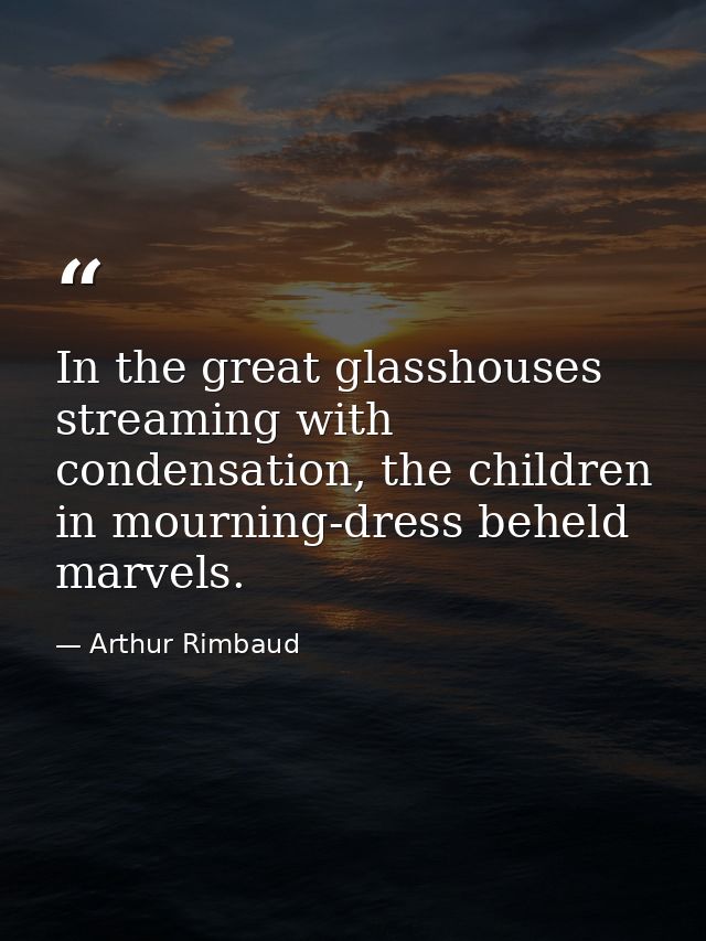 In the great glasshouses streaming with condensation, the children in mourning-dress beheld marvels. — Arthur Rimbaud