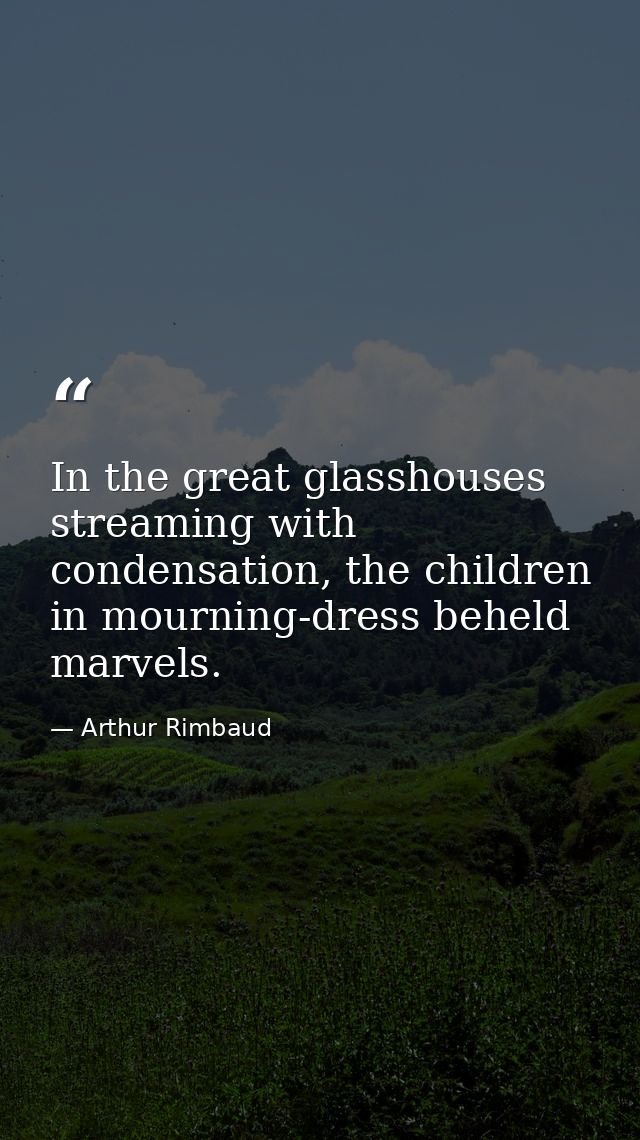 In the great glasshouses streaming with condensation, the children in mourning-dress beheld marvels. — Arthur Rimbaud