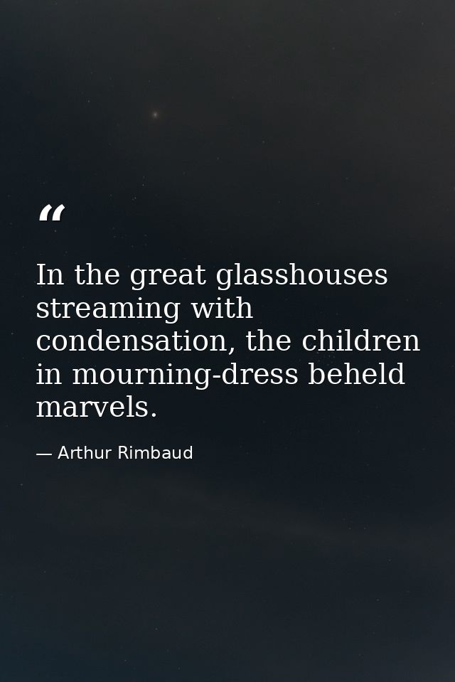 In the great glasshouses streaming with condensation, the children in mourning-dress beheld marvels. — Arthur Rimbaud