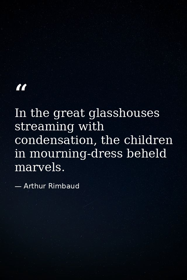 In the great glasshouses streaming with condensation, the children in mourning-dress beheld marvels. — Arthur Rimbaud