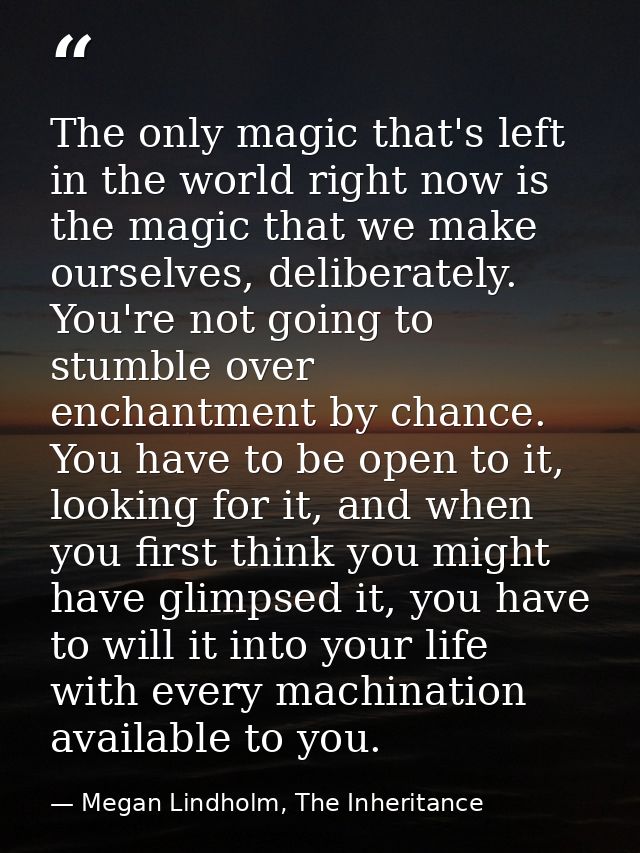 The only magic that's left in the world right now is the magic that we make ourselves, deliberately. You're not going to — Megan Lindholm, The Inheritance
