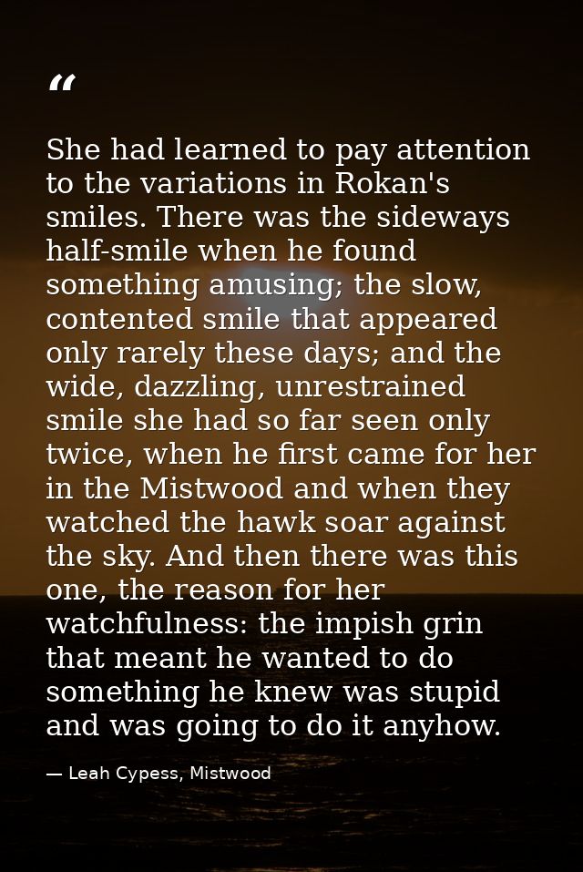 She had learned to pay attention to the variations in Rokan's smiles. There was the sideways half-smile when he found so — Leah Cypess, Mistwood