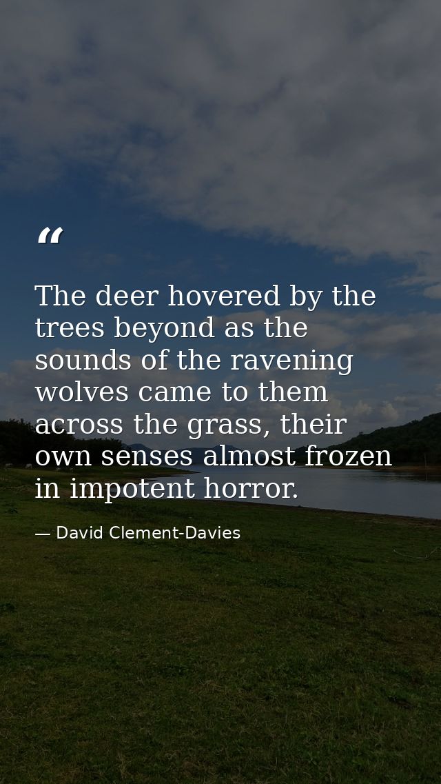 The deer hovered by the trees beyond as the sounds of the ravening wolves came to them across the grass, their own sense — David Clement-Davies