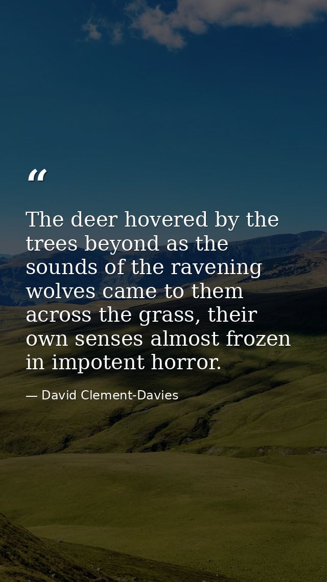 The deer hovered by the trees beyond as the sounds of the ravening wolves came to them across the grass, their own sense — David Clement-Davies