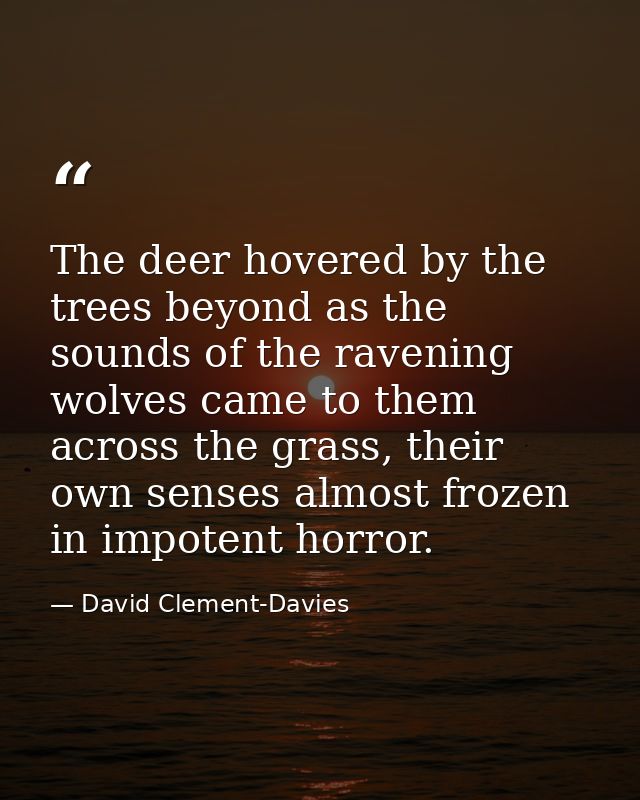 The deer hovered by the trees beyond as the sounds of the ravening wolves came to them across the grass, their own sense — David Clement-Davies