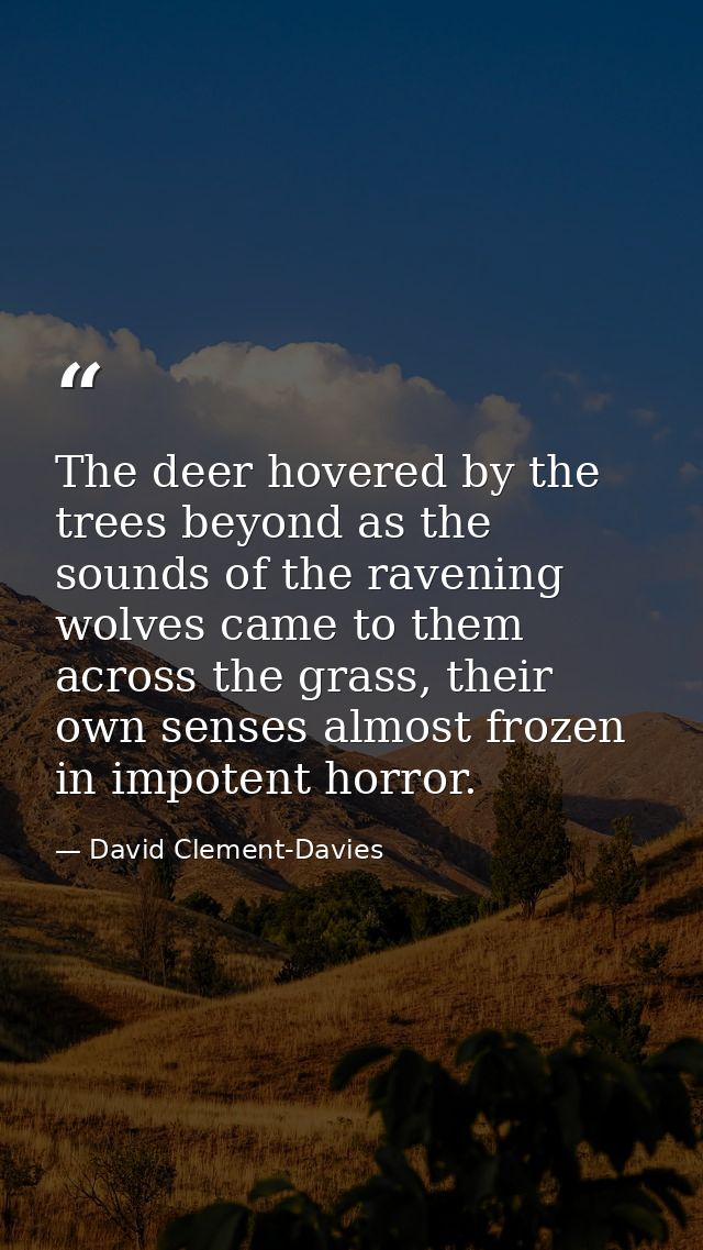 The deer hovered by the trees beyond as the sounds of the ravening wolves came to them across the grass, their own sense — David Clement-Davies