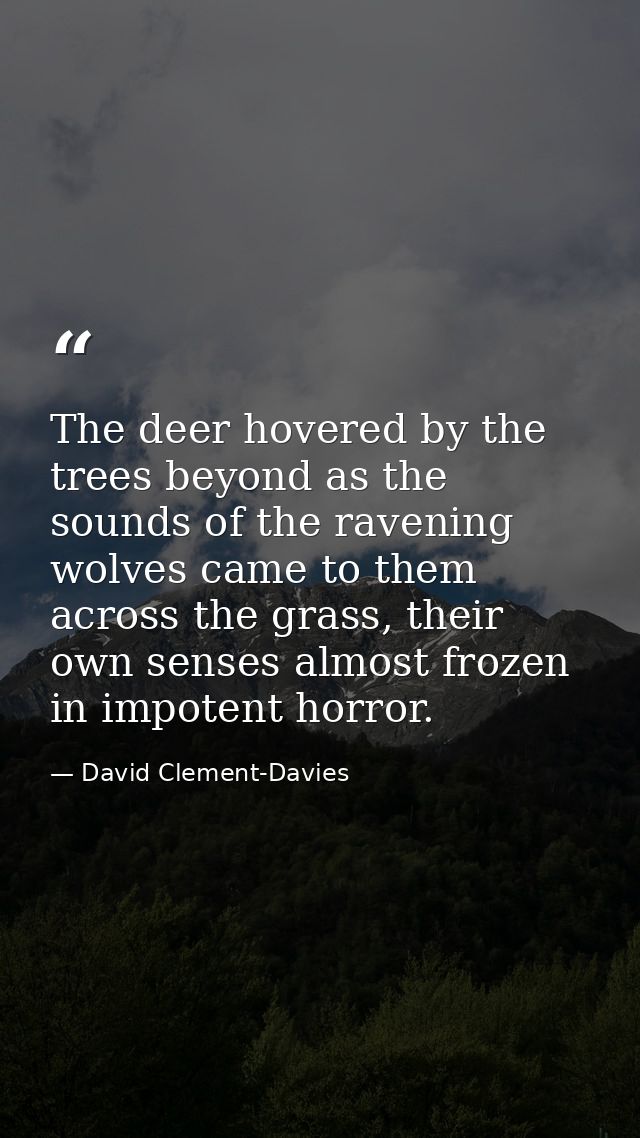 The deer hovered by the trees beyond as the sounds of the ravening wolves came to them across the grass, their own sense — David Clement-Davies