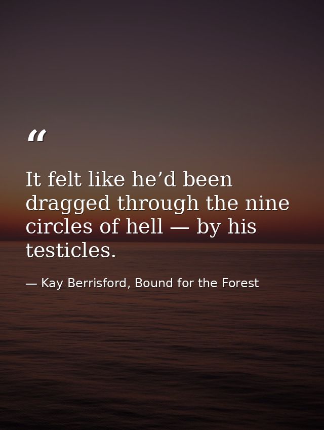 It felt like he’d been dragged through the nine circles of hell — by his testicles. — Kay Berrisford, Bound for the Forest