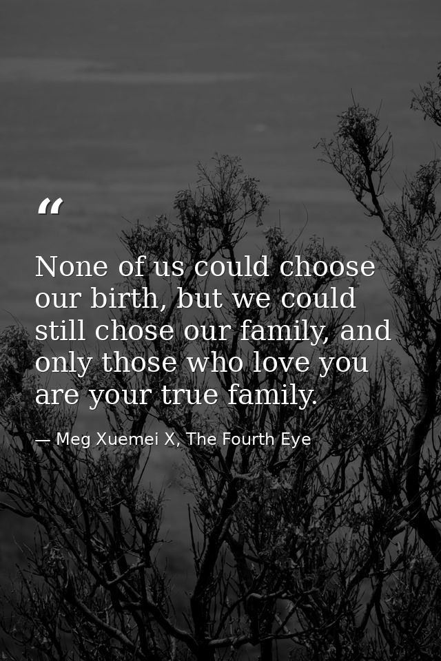 None of us could choose our birth, but we could still chose our family, and only those who love you are your true family — Meg Xuemei X, The Fourth Eye