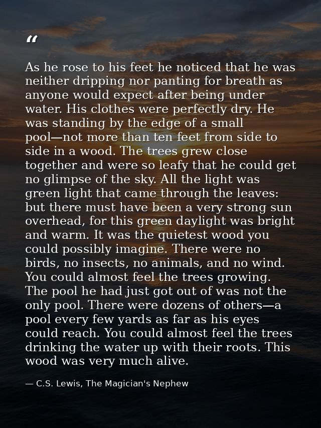As he rose to his feet he noticed that he was neither dripping nor panting for breath as anyone would expect after being — C.S. Lewis, The Magician's Nephew