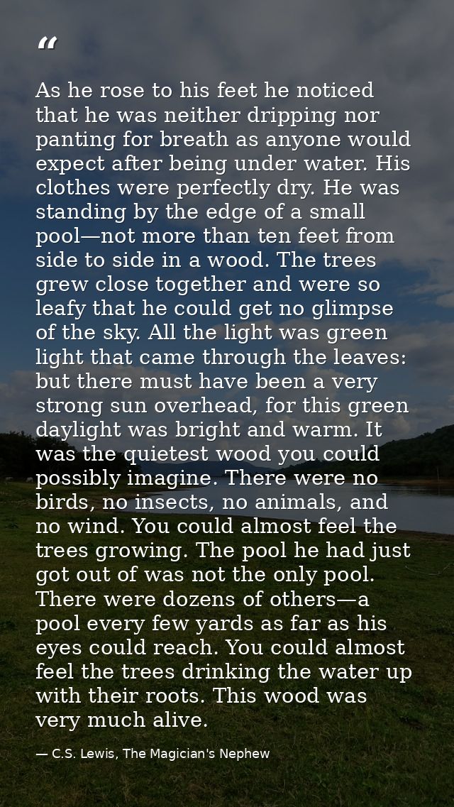 As he rose to his feet he noticed that he was neither dripping nor panting for breath as anyone would expect after being — C.S. Lewis, The Magician's Nephew