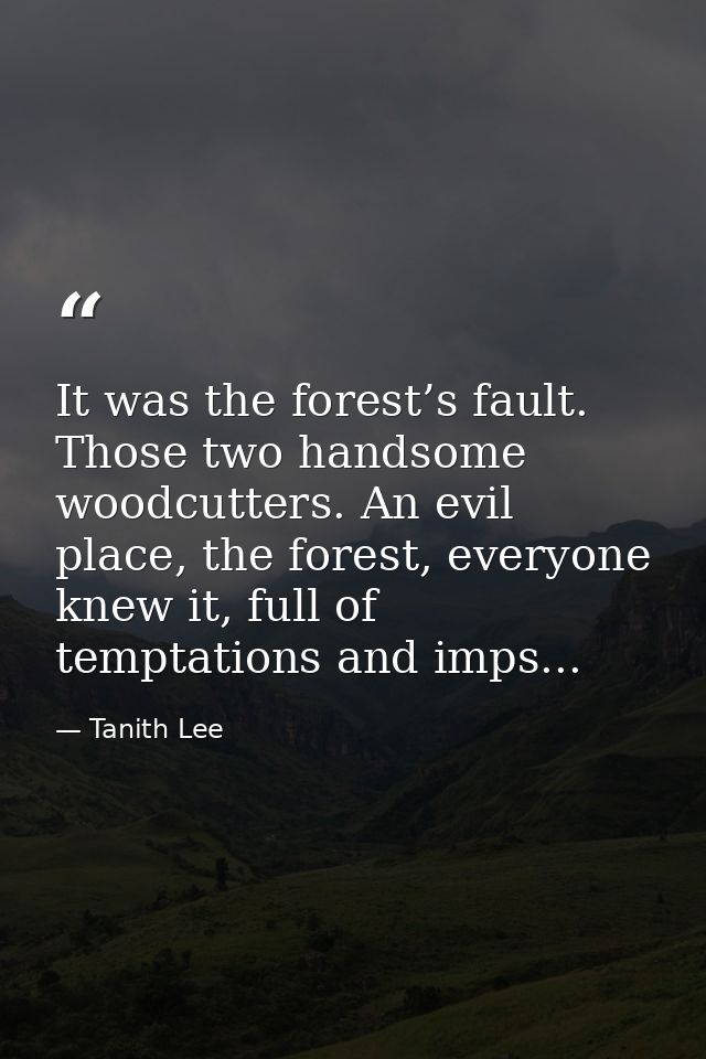 It was the forest’s fault. Those two handsome woodcutters. An evil place, the forest, everyone knew it, full of temptati — Tanith Lee
