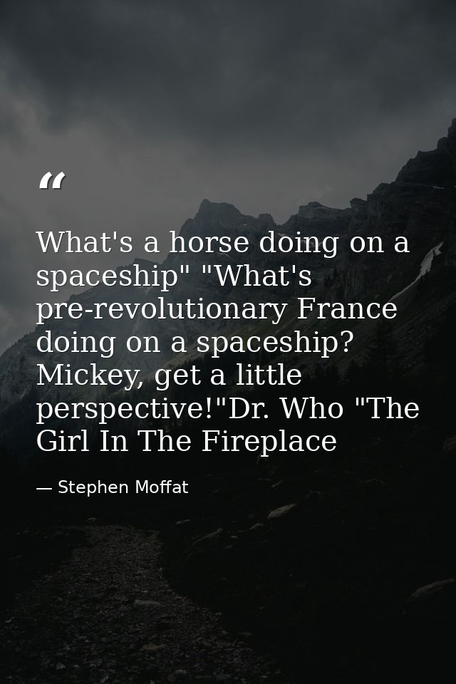 What's a horse doing on a spaceship" "What's pre-revolutionary France doing on a spaceship? Mickey, get a little perspec — Stephen Moffat