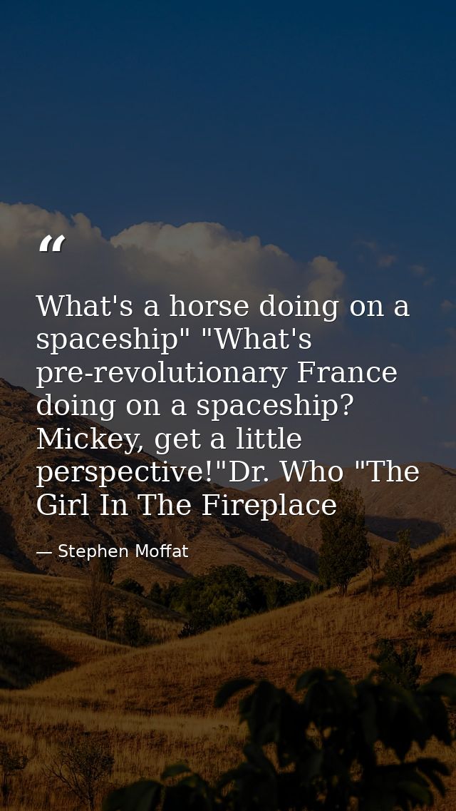 What's a horse doing on a spaceship" "What's pre-revolutionary France doing on a spaceship? Mickey, get a little perspec — Stephen Moffat