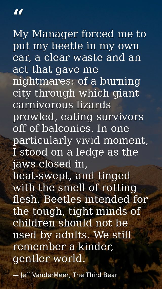 My Manager forced me to put my beetle in my own ear, a clear waste and an act that gave me nightmares: of a burning city — Jeff VanderMeer, The Third Bear