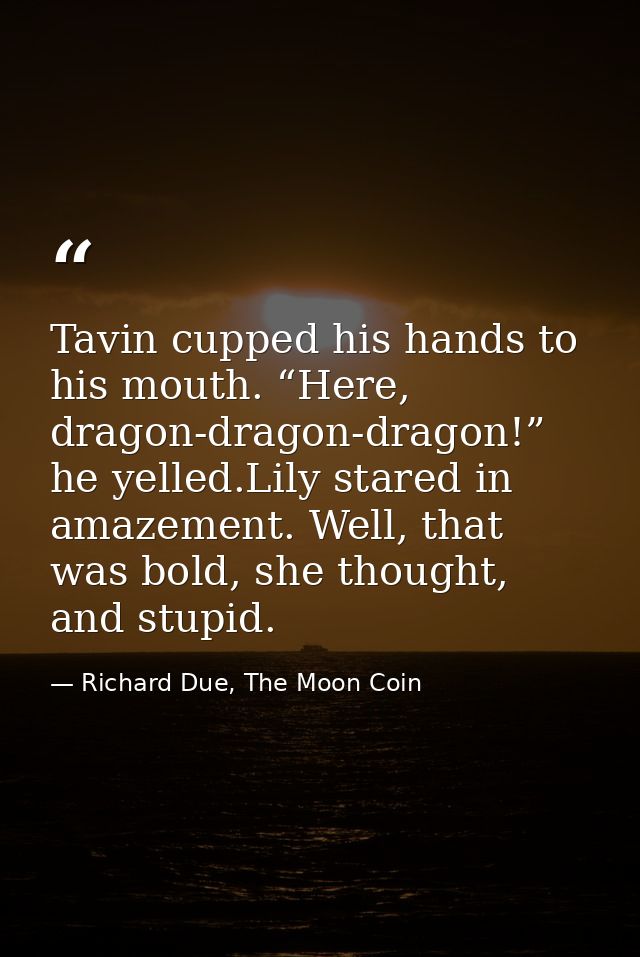 Tavin cupped his hands to his mouth. “Here, dragon-dragon-dragon!” he yelled.Lily stared in amazement. Well, that was bo — Richard Due, The Moon Coin