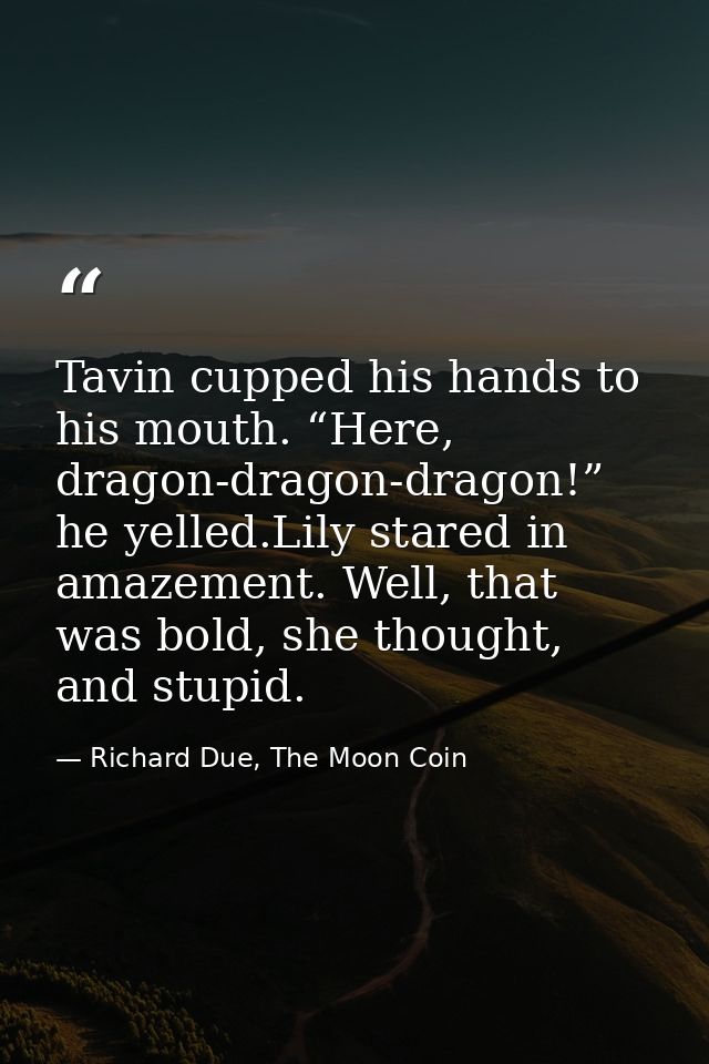 Tavin cupped his hands to his mouth. “Here, dragon-dragon-dragon!” he yelled.Lily stared in amazement. Well, that was bo — Richard Due, The Moon Coin