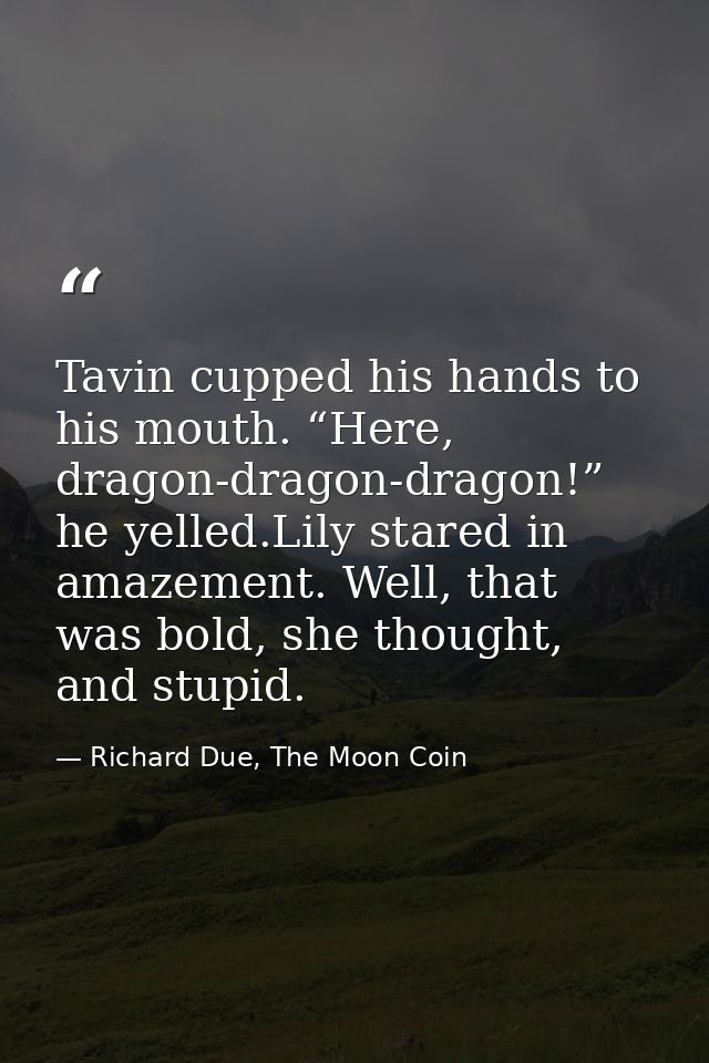 Tavin cupped his hands to his mouth. “Here, dragon-dragon-dragon!” he yelled.Lily stared in amazement. Well, that was bo — Richard Due, The Moon Coin