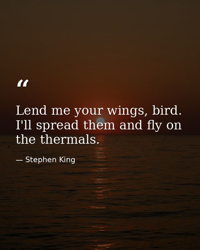 Lend me your wings, bird. I'll spread them and fly on the thermals. — Stephen King
