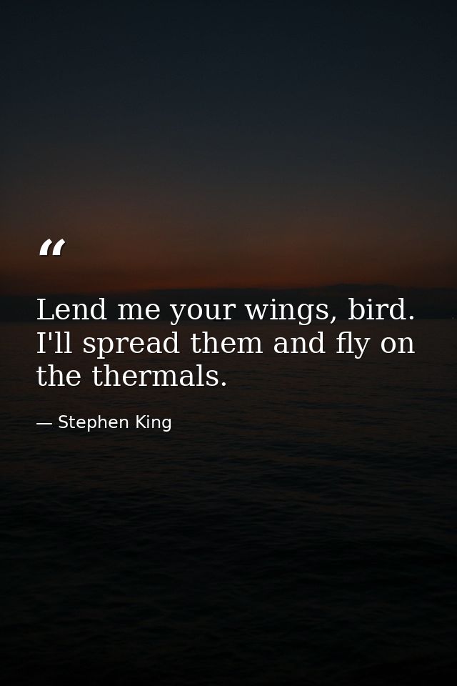 Lend me your wings, bird. I'll spread them and fly on the thermals. — Stephen King