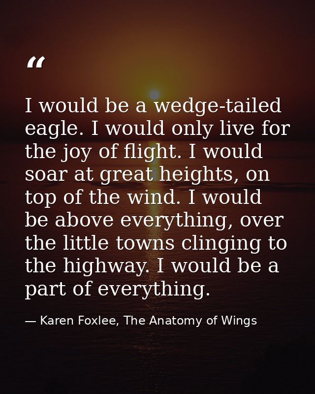 I would be a wedge-tailed eagle. I would only live for the joy of flight. I would soar at great heights, on top of the w — Karen Foxlee, The Anatomy of Wings