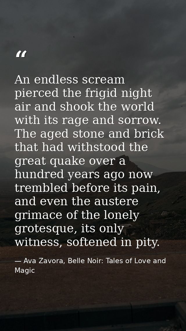 An endless scream pierced the frigid night air and shook the world with its rage and sorrow. The aged stone and brick th — Ava Zavora, Belle Noir: Tales of Love and Magic