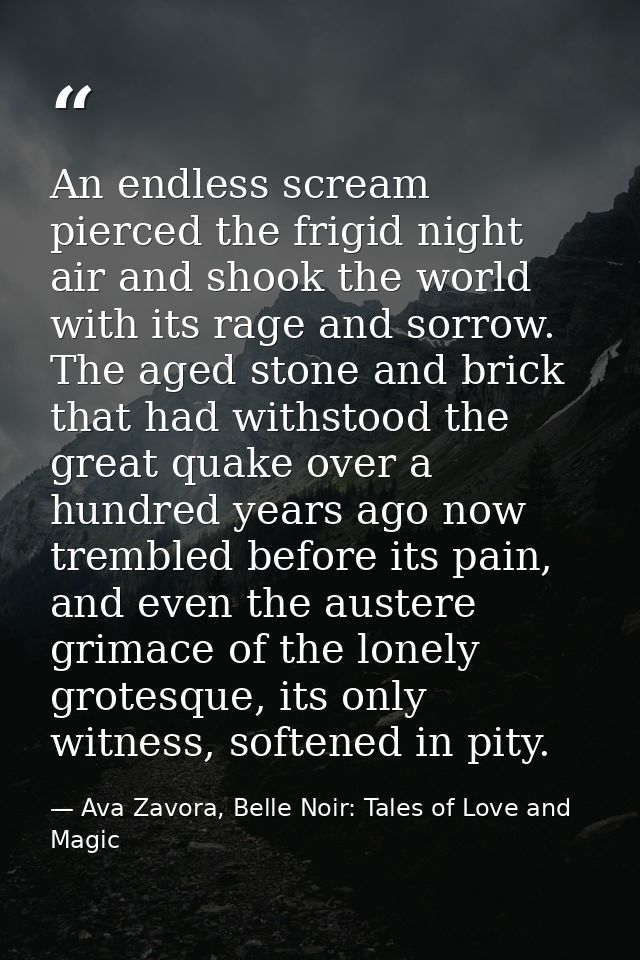 An endless scream pierced the frigid night air and shook the world with its rage and sorrow. The aged stone and brick th — Ava Zavora, Belle Noir: Tales of Love and Magic