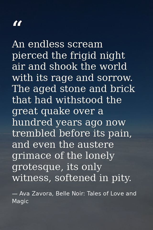 An endless scream pierced the frigid night air and shook the world with its rage and sorrow. The aged stone and brick th — Ava Zavora, Belle Noir: Tales of Love and Magic