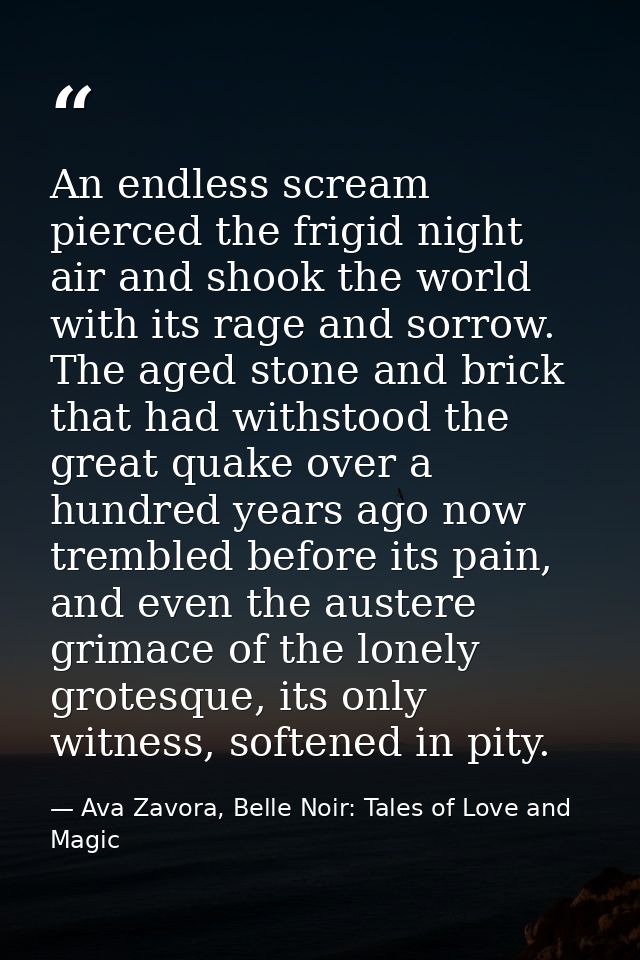 An endless scream pierced the frigid night air and shook the world with its rage and sorrow. The aged stone and brick th — Ava Zavora, Belle Noir: Tales of Love and Magic