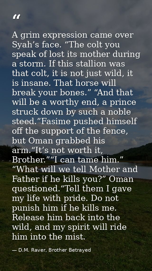 A grim expression came over Syah’s face. “The colt you speak of lost its mother during a storm. If this stallion was tha — D.M. Raver, Brother Betrayed