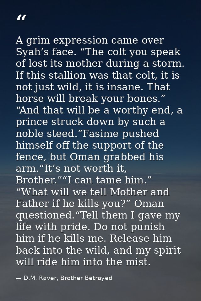 A grim expression came over Syah’s face. “The colt you speak of lost its mother during a storm. If this stallion was tha — D.M. Raver, Brother Betrayed