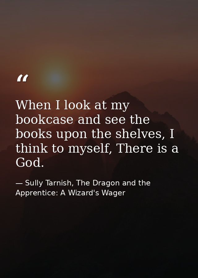 When I look at my bookcase and see the books upon the shelves, I think to myself, There is a God. — Sully Tarnish, The Dragon and the Apprentice: A Wizard's Wager