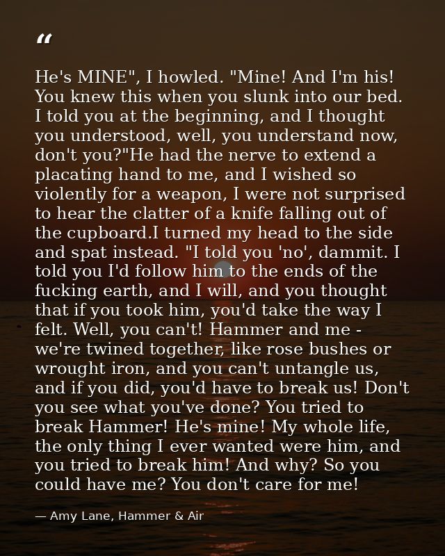 He's MINE", I howled. "Mine! And I'm his! You knew this when you slunk into our bed. I told you at the beginning, and I  — Amy Lane, Hammer & Air