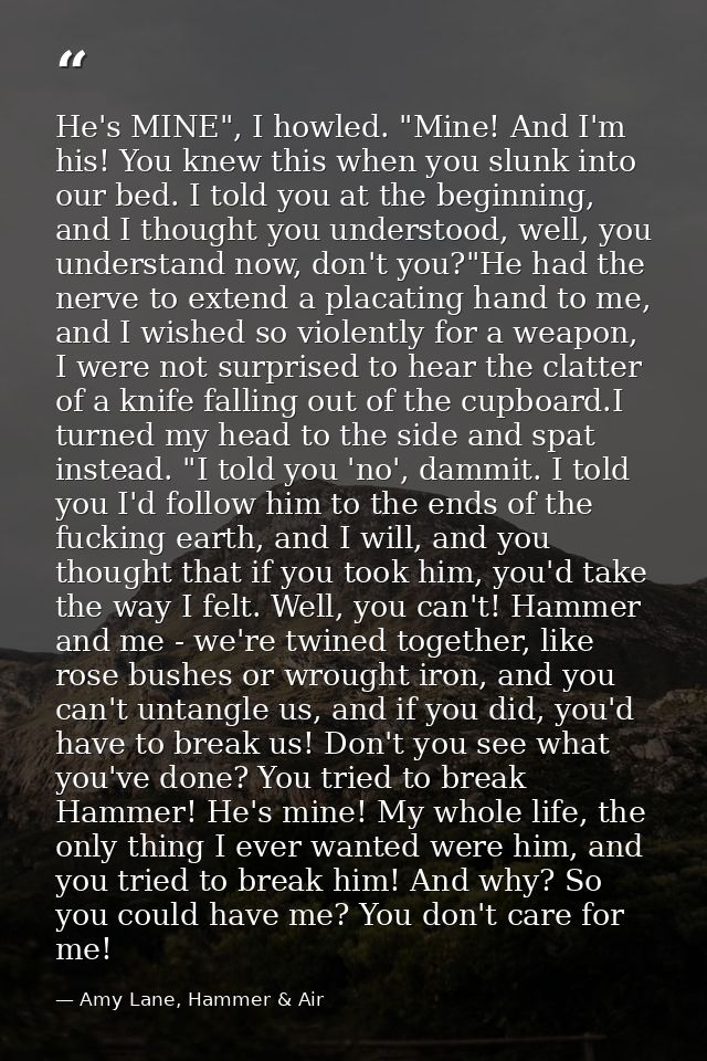 He's MINE", I howled. "Mine! And I'm his! You knew this when you slunk into our bed. I told you at the beginning, and I  — Amy Lane, Hammer & Air