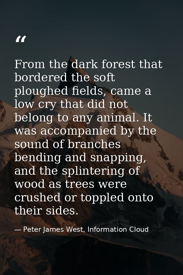 From the dark forest that bordered the soft ploughed fields, came a low cry that did not belong to any animal. It was ac — Peter James West, Information Cloud