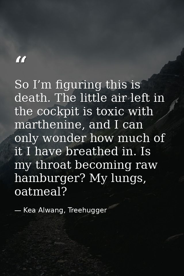So I’m figuring this is death. The little air left in the cockpit is toxic with marthenine, and I can only wonder how mu — Kea Alwang, Treehugger