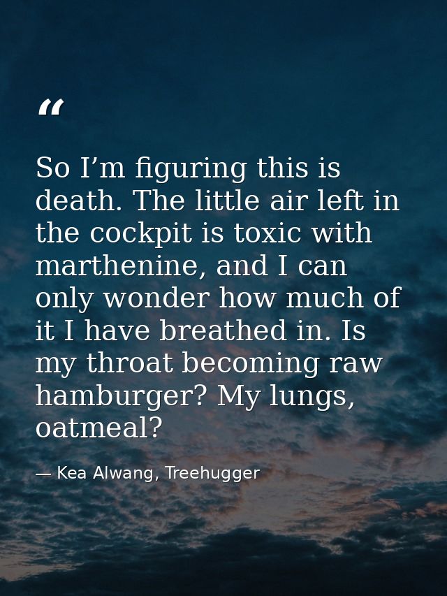 So I’m figuring this is death. The little air left in the cockpit is toxic with marthenine, and I can only wonder how mu — Kea Alwang, Treehugger
