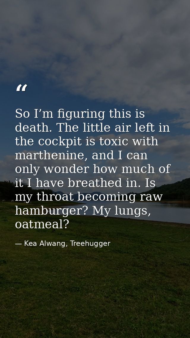 So I’m figuring this is death. The little air left in the cockpit is toxic with marthenine, and I can only wonder how mu — Kea Alwang, Treehugger