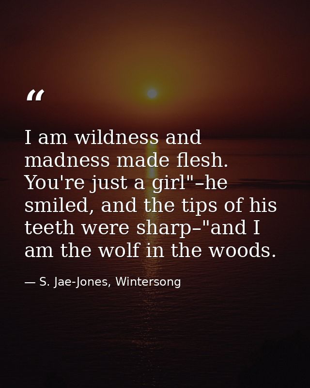 I am wildness and madness made flesh. You're just a girl"–he smiled, and the tips of his teeth were sharp–"and I am the  — S. Jae-Jones, Wintersong