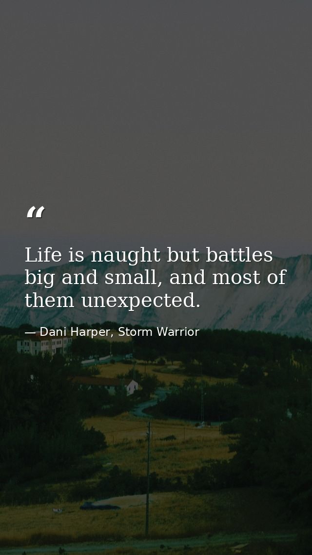Life is naught but battles big and small, and most of them unexpected. — Dani Harper, Storm Warrior