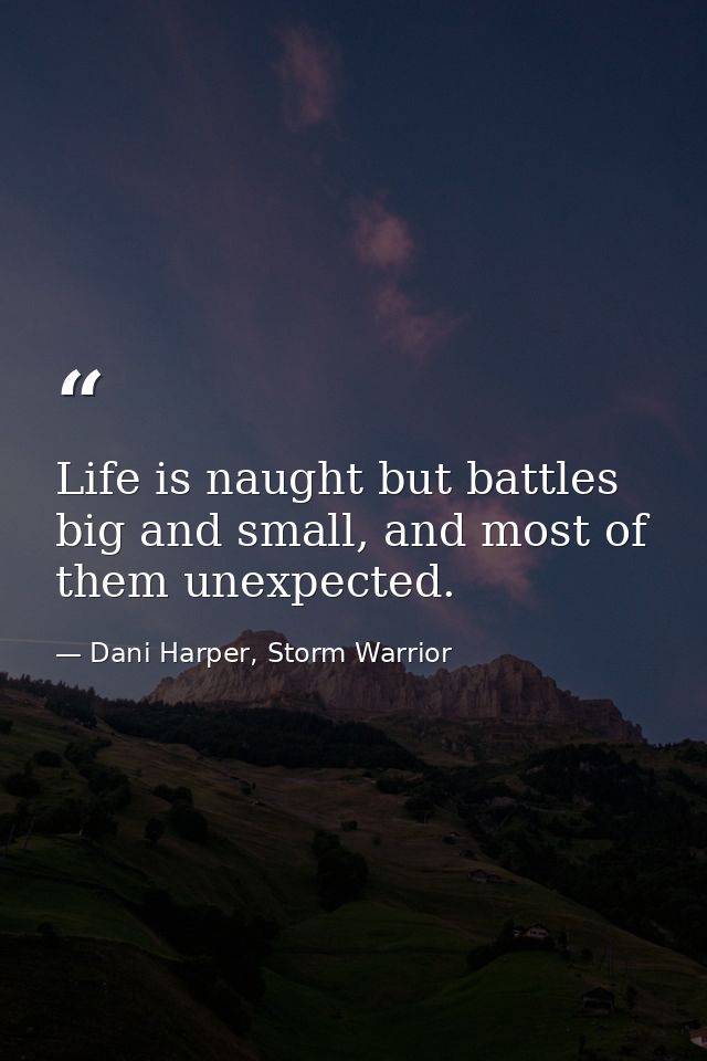 Life is naught but battles big and small, and most of them unexpected. — Dani Harper, Storm Warrior