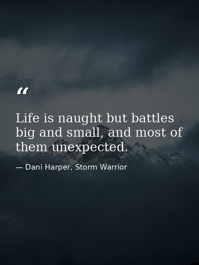 Life is naught but battles big and small, and most of them unexpected. — Dani Harper, Storm Warrior