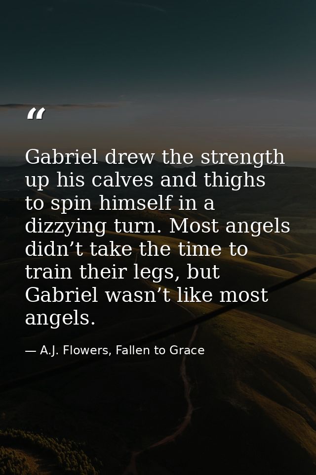 Gabriel drew the strength up his calves and thighs to spin himself in a dizzying turn. Most angels didn’t take the time  — A.J. Flowers, Fallen to Grace