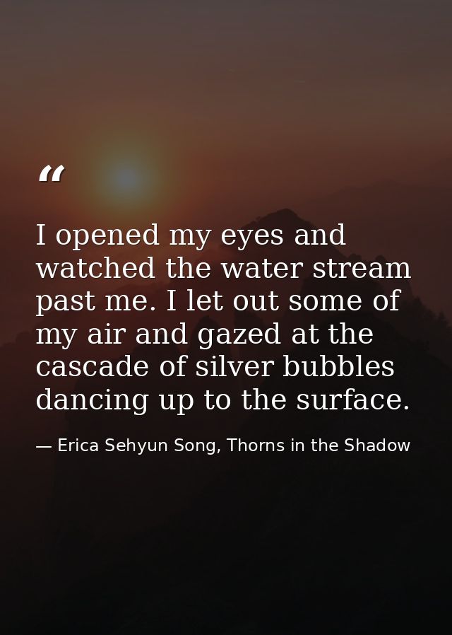 I opened my eyes and watched the water stream past me. I let out some of my air and gazed at the cascade of silver bubbl — Erica Sehyun Song, Thorns in the Shadow