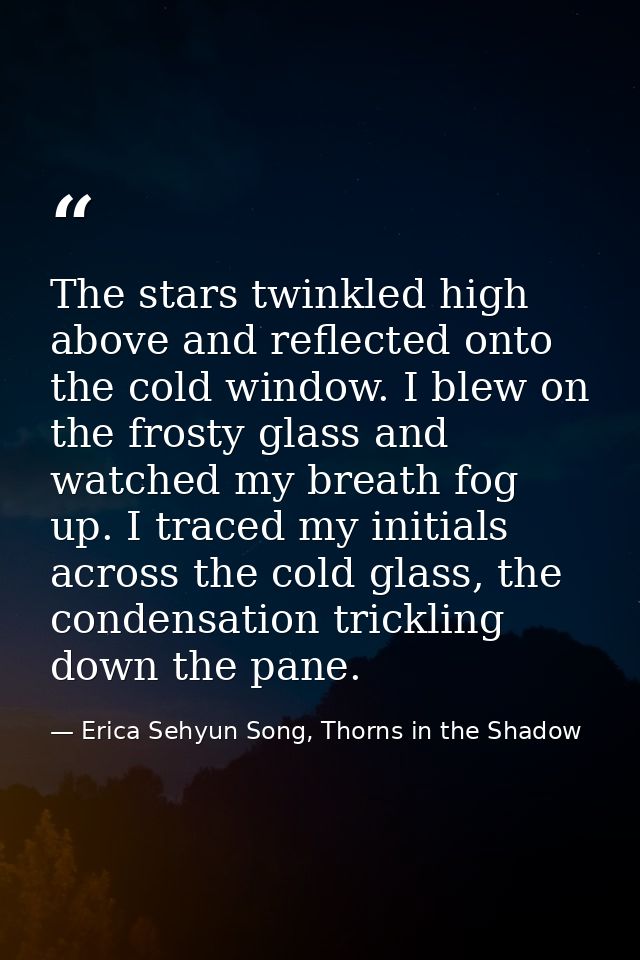 The stars twinkled high above and reflected onto the cold window. I blew on the frosty glass and watched my breath fog u — Erica Sehyun Song, Thorns in the Shadow