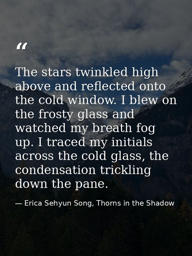 The stars twinkled high above and reflected onto the cold window. I blew on the frosty glass and watched my breath fog u — Erica Sehyun Song, Thorns in the Shadow