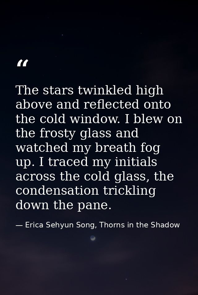The stars twinkled high above and reflected onto the cold window. I blew on the frosty glass and watched my breath fog u — Erica Sehyun Song, Thorns in the Shadow