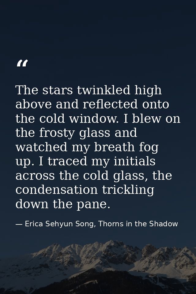 The stars twinkled high above and reflected onto the cold window. I blew on the frosty glass and watched my breath fog u — Erica Sehyun Song, Thorns in the Shadow