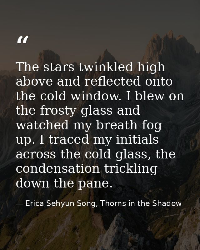 The stars twinkled high above and reflected onto the cold window. I blew on the frosty glass and watched my breath fog u — Erica Sehyun Song, Thorns in the Shadow
