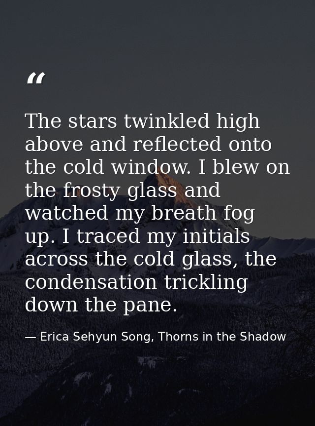 The stars twinkled high above and reflected onto the cold window. I blew on the frosty glass and watched my breath fog u — Erica Sehyun Song, Thorns in the Shadow